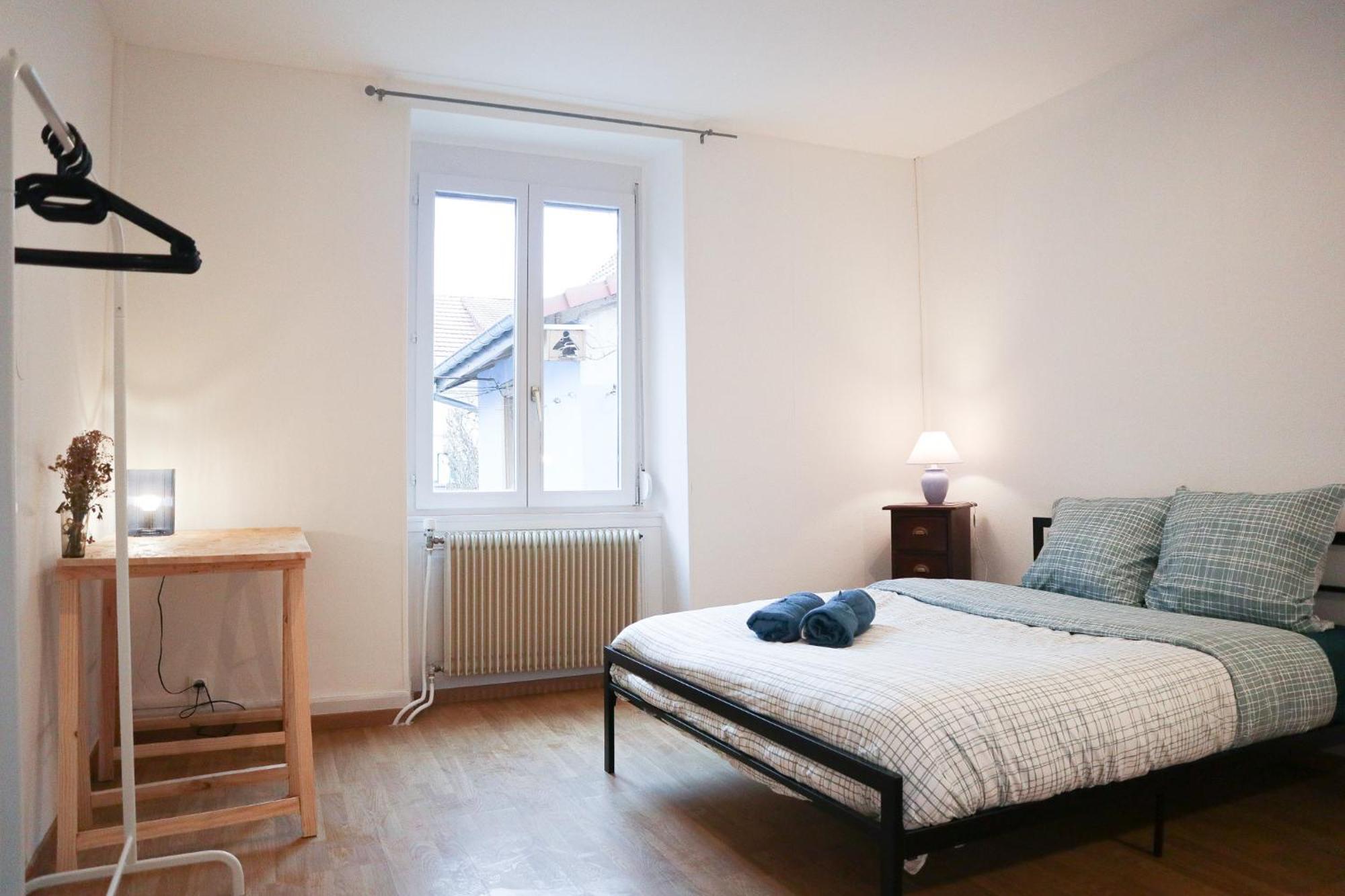 Appartement Entier, Proche Tram-Train Et Commodites, Parking Gratuit Mulhouse Exterior photo